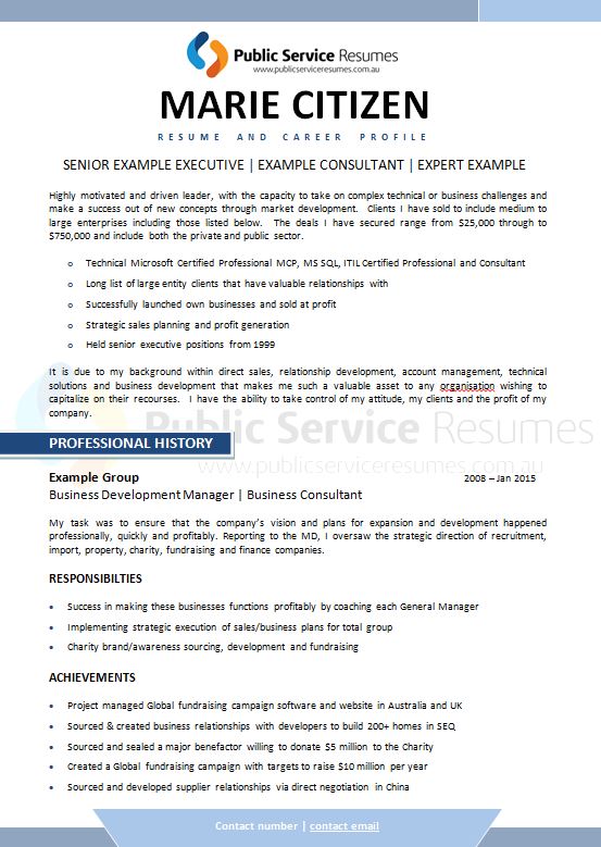 Executive Public Sector Resume Executive Government Resume Writers